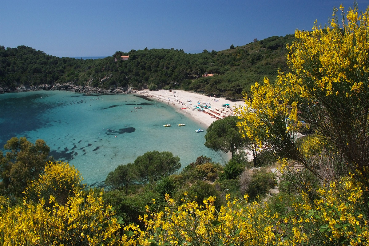 Elba Island - The beach of Fetovaia